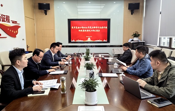 纪审联动压实整改责任，，，，，精准施策激活增效动能